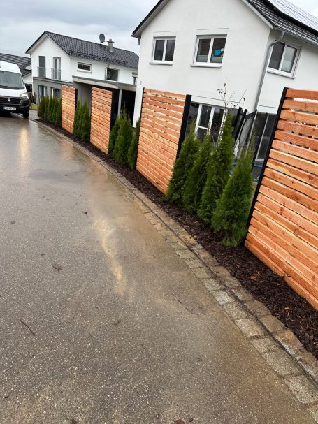 Zaun aus Lärche Rhombus mit Thuja