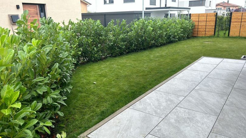 80m Kurschloerbeerhecke - Neu-Ulm